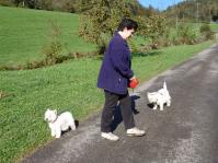 Klik op de foto voor groter formaat